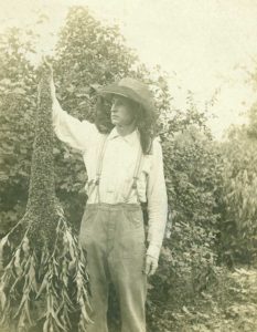 history-of-Beekeeping