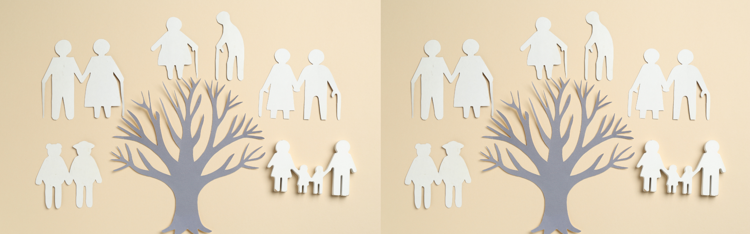 paper cut outs of trees and and a couple at different stages in life.